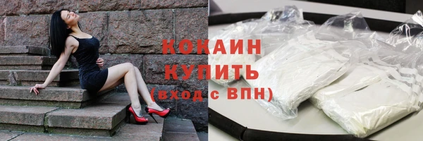 мдпв Пересвет