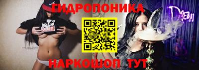дживик Берёзовский