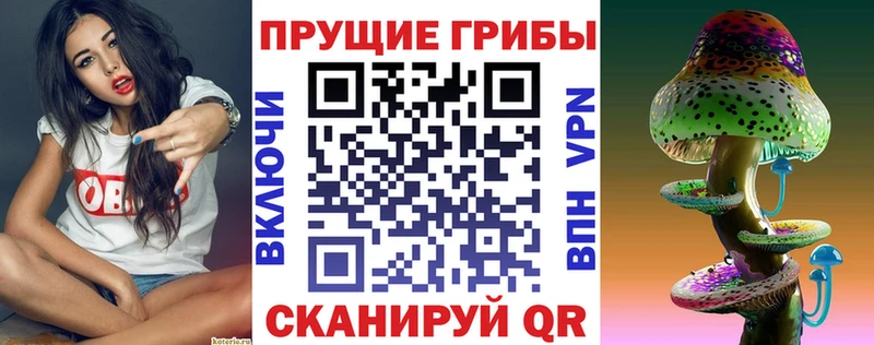 Галлюциногенные грибы мицелий  Грозный 