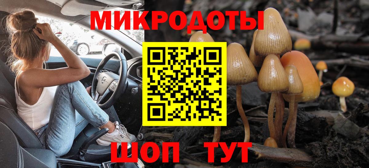 Галлюциногенные грибы Magic Shrooms  Галлюциногенные грибы Psilocybe  Вход с VPN  Грозный 