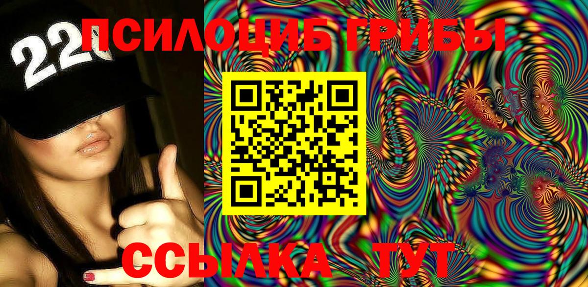 Галлюциногенные грибы Psilocybe  Грозный 