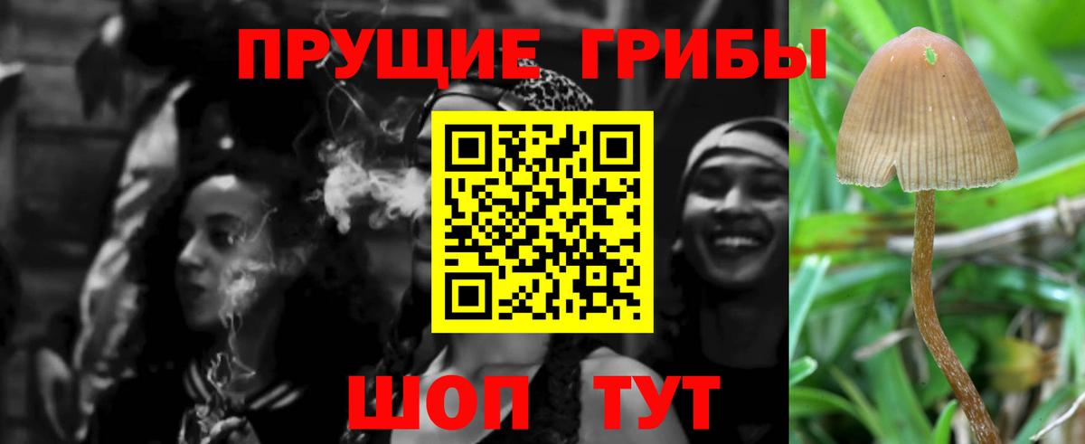 Псилоцибиновые грибы мухоморы Грозный