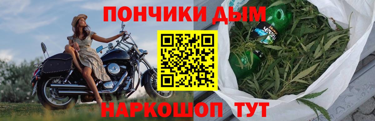 Шишки марихуана марихуана Грозный